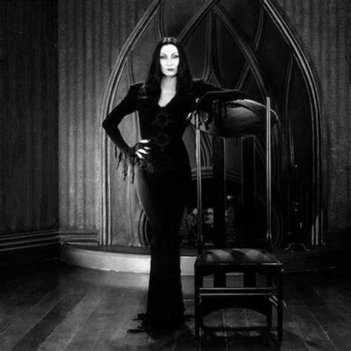 Animatrix Network Christina Ricci as Morticia Addams