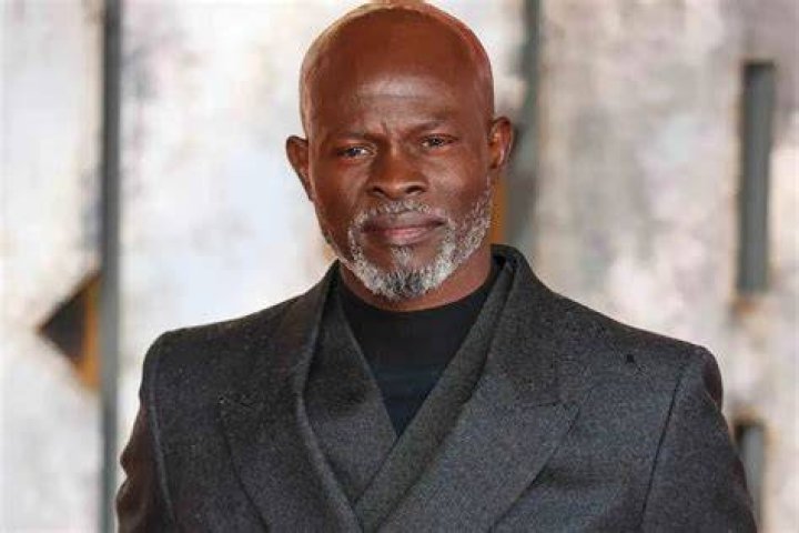 Djimon Hounsou Biography, Age, Height, Wife, Net Worth, Family World