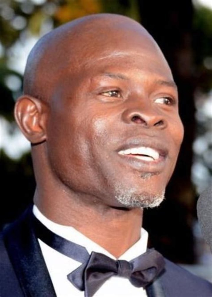 Djimon Hounsou Height, Weight, Age, Body Statistics Healthy Celeb