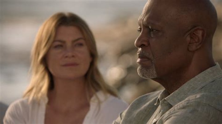 Ellen Pompeo, James Pickens Jr and Other 'Grey's Anatomy' Stars' Family
