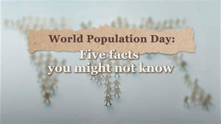 Five Facts You Didn&rsquo;t Know About Beavers Chesapeake Bay Foundation