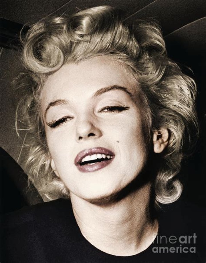 Marilyn Monroe's Final Photo Session The Last Photos of Marilyn Taken