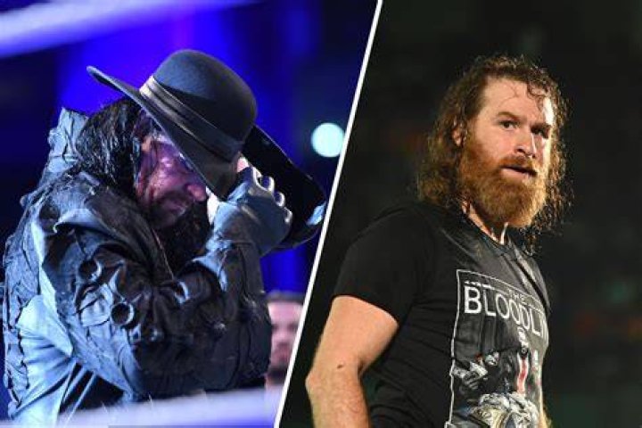 The Undertaker Fortune Updated Ideas